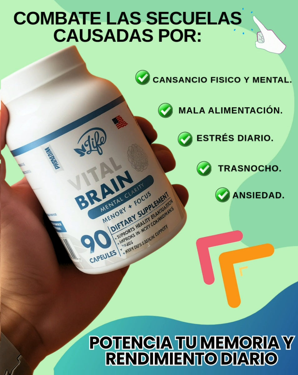 🧠VITAL BRAIN LIFE SUPLEMENTO CEREBRAL X90 CAPSULAS - MEJORA LA MEMORIA, ATENCIÓN Y CONCENTRACIÓN + ENVÍO GRATIS! 🎁