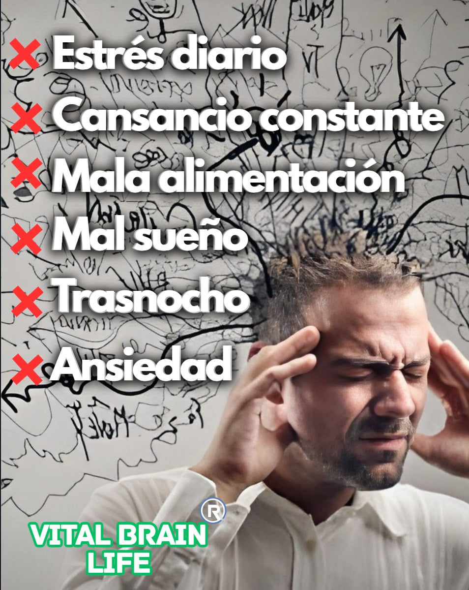 🧠VITAL BRAIN LIFE SUPLEMENTO CEREBRAL X90 CAPSULAS - MEJORA LA MEMORIA, ATENCIÓN Y CONCENTRACIÓN + ENVÍO GRATIS! 🎁
