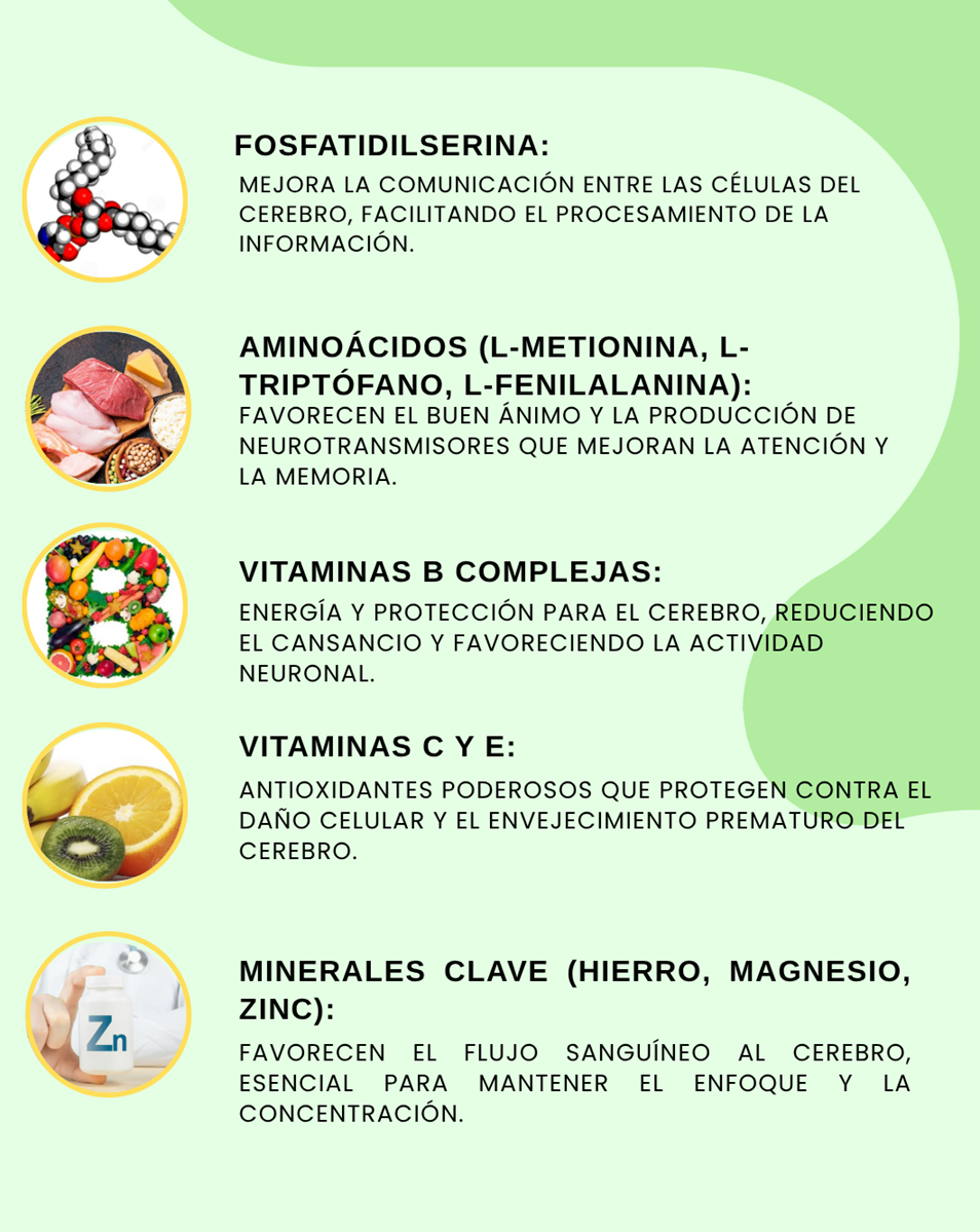 🧠VITAL BRAIN LIFE SUPLEMENTO CEREBRAL X90 CAPSULAS - MEJORA LA MEMORIA, ATENCIÓN Y CONCENTRACIÓN + ENVÍO GRATIS! 🎁